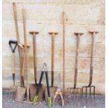 Collection of garden tools