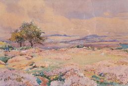 Donald Henry Floyd (1892-1965) Watercolour  Heather landscape scene, signed lower left, 37cm x 55cm