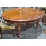 Oval mahogany extending table, moulded edge over turned supports, brown china castors