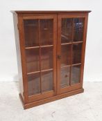 20th century mahogany bookcase, the rectangular top above two astragal glazed doors enclosing