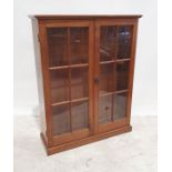 20th century mahogany bookcase, the rectangular top above two astragal glazed doors enclosing