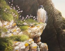 Terence Lambert (British b.1951) Acrylic on canvas Bird of prey on rocks with sea thrift, signed