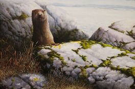 Terence Lambert (b1951) Acrylic on canvas Study of an otter peering from behind rock at the sea's