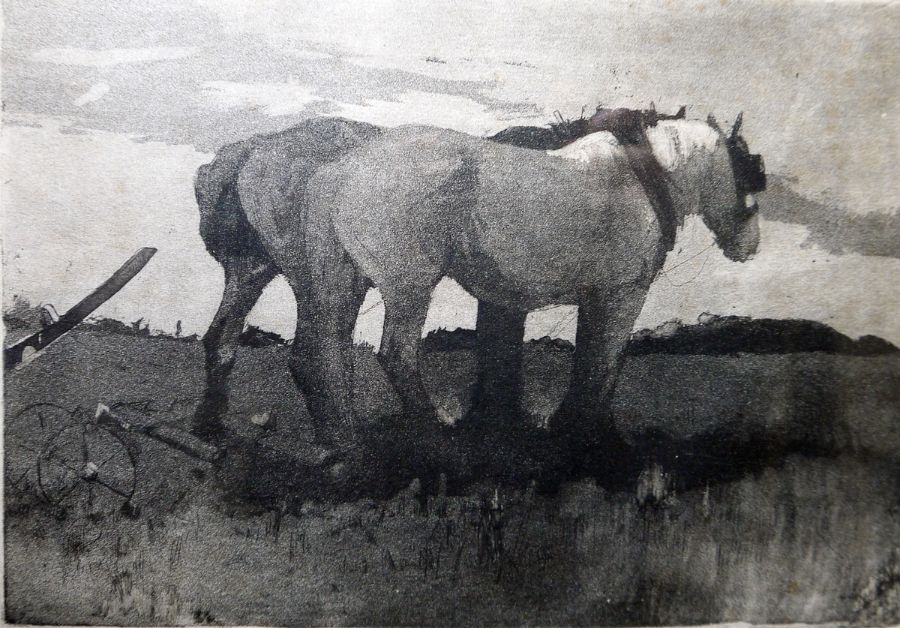 H Green  Aquatint  Two carthorses, signed in pencil lower right