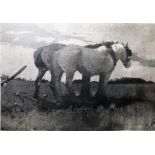 H Green  Aquatint  Two carthorses, signed in pencil lower right