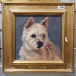 Henrietta Jordan Oil on board  "Bo Beep", Painting of a terrier, together with Two further