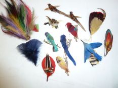 Quantity of assorted feathers, hats and hair decorations, to include bird brooches made of the