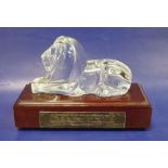 A Steuben art glass model of a recumbent lion designed by Lloyd Atkins, with wooden plinth base, the