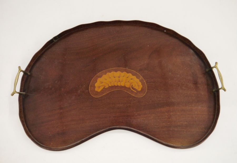 19th century mahogany kidney-shaped tray with conch shell inlay, galleried top and brass handles,