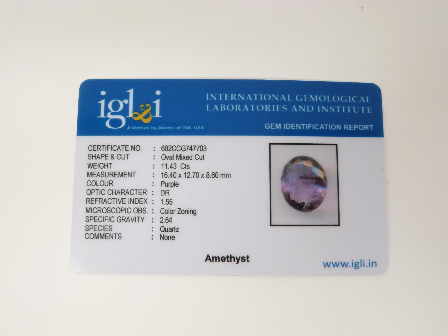 An IGL & I (International Gemological Laboratories and Institute) certificated oval mixed cut - Image 14 of 14