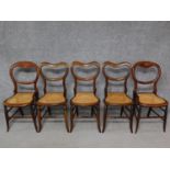 A set of three 19th century mahogany cane seated chairs and two similar chairs. H.83cm
