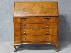 An early Georgian style burr walnut bureau with fitted interior above four graduating long drawers