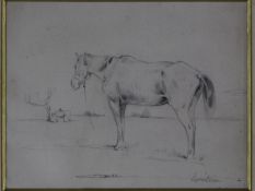 A framed and glazed pencil sketch of horses, indistinctly signed. 31x33cm