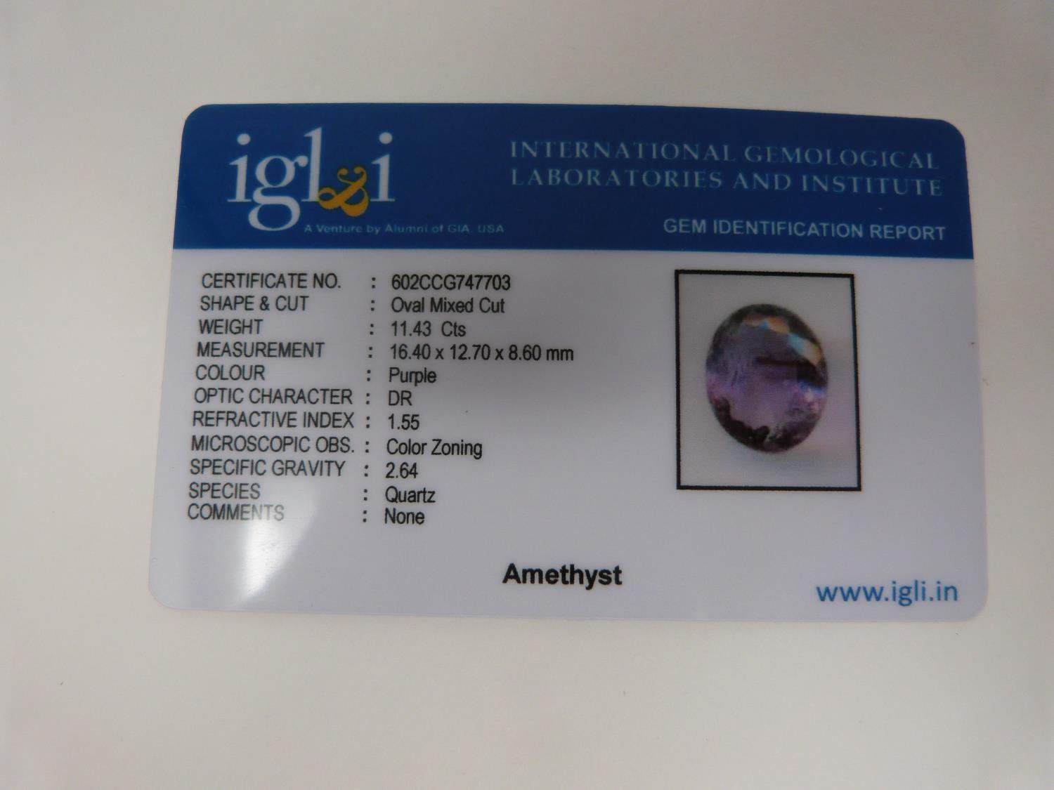 An IGL & I (International Gemological Laboratories and Institute) certificated oval mixed cut - Image 13 of 14
