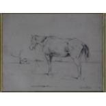 A framed and glazed pencil sketch of horses, indistinctly signed. 31x33cm