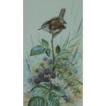 A framed and glazed watercolour depicting a wren on a blackberry plant, by British artist Warwick