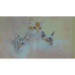A framed and glazed watercolour of cats by British artist Warwick Higgs. 78x69cm