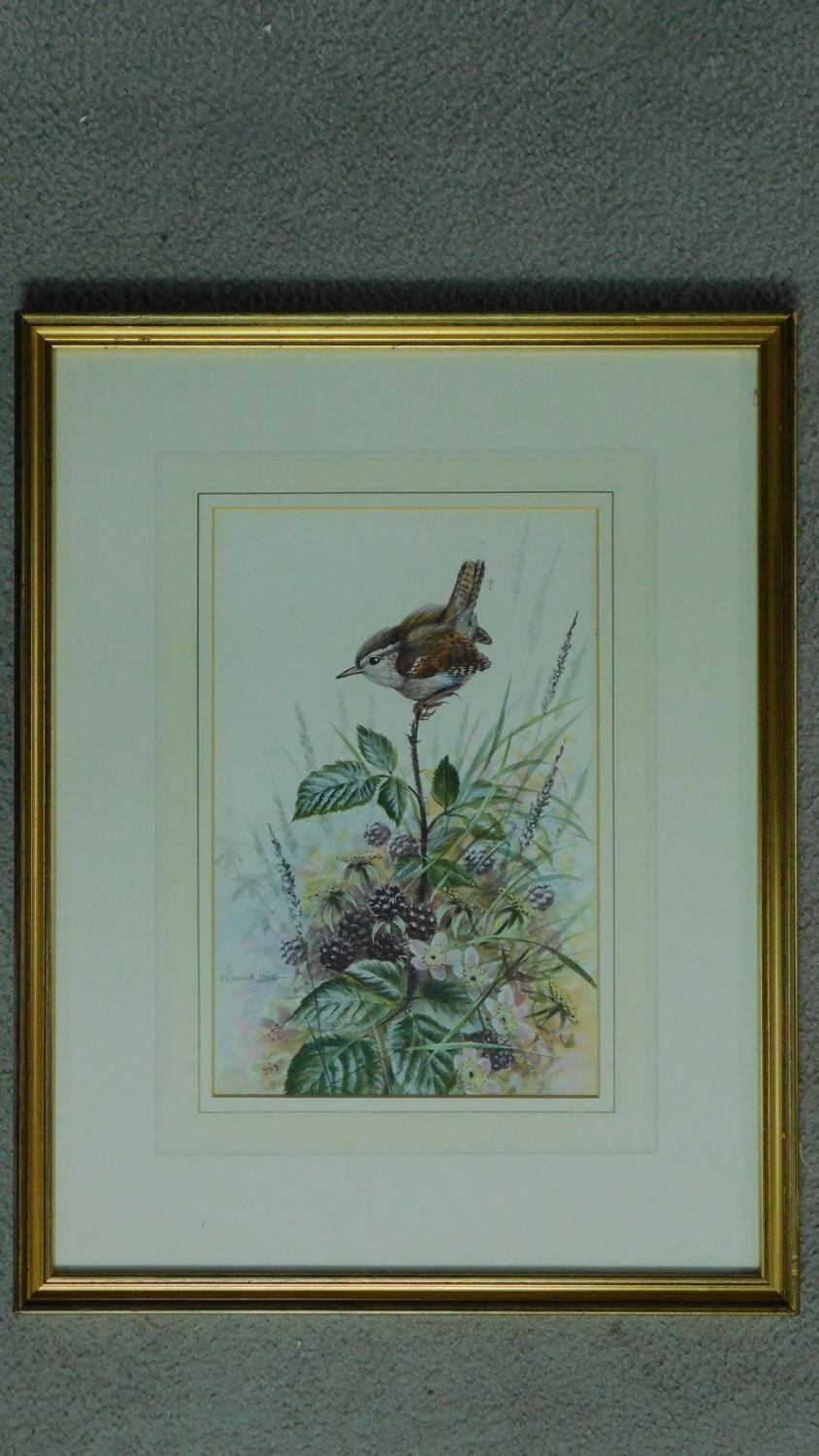 A framed and glazed watercolour depicting a wren on a blackberry plant, by British artist Warwick - Image 2 of 5