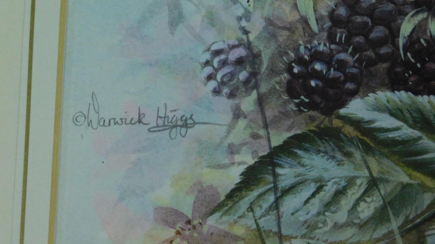 A framed and glazed watercolour depicting a wren on a blackberry plant, by British artist Warwick - Image 3 of 5