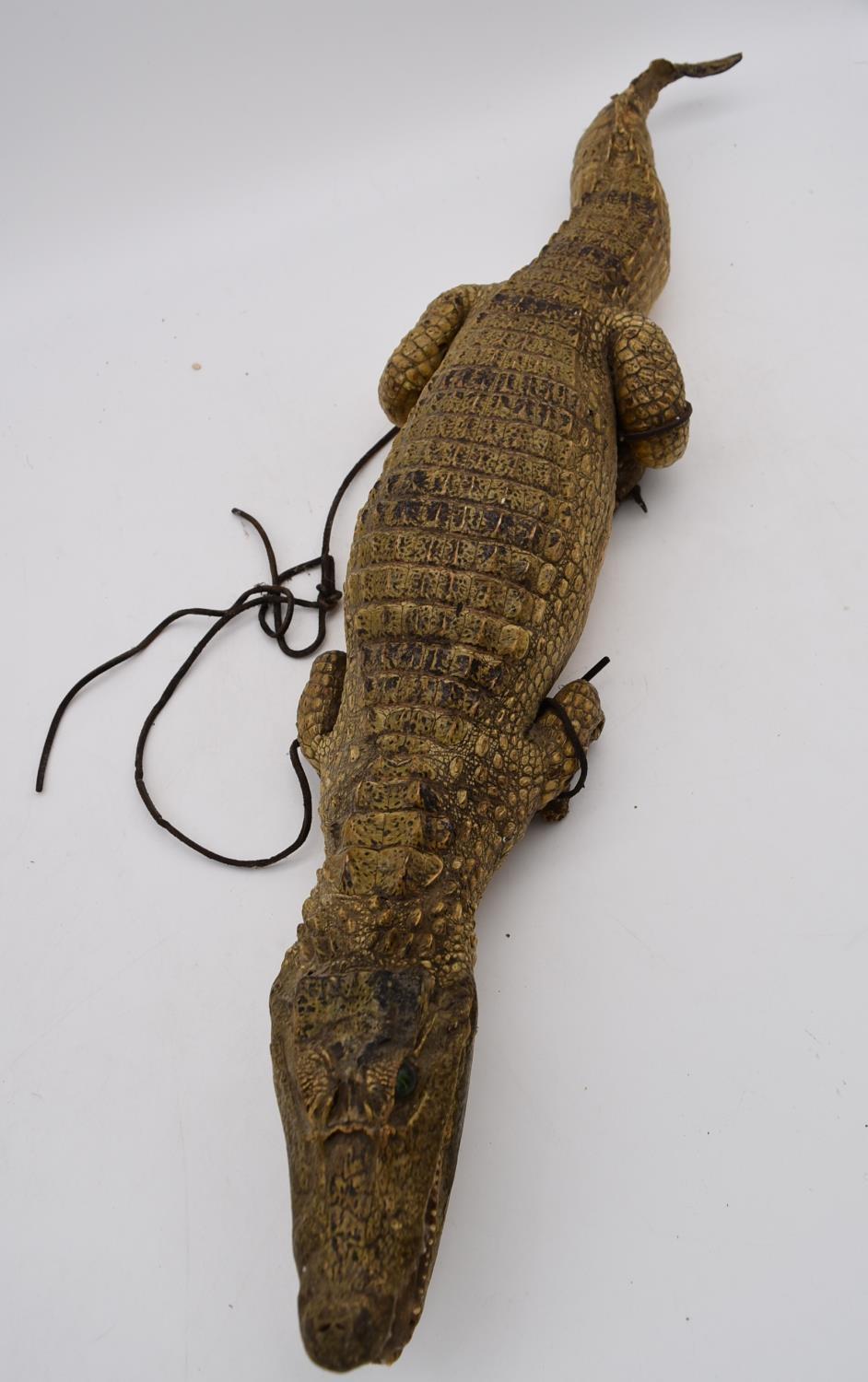 An antique taxidermy juvenile alligator. L.90cm - Image 2 of 5