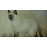 A gilt framed oil on canvas of a Siamese cat, indistinctly signed. 58x68cm