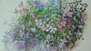 A framed and glazed watercolour of a Clematis, Polperro, by J. Hynes. 60x66cm