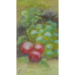 A framed oil on board still life depicting bunches of grapes. Indistinctly signed. 28x36cm