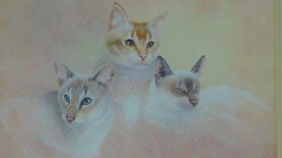 A framed and glazed watercolour of cats by British artist Warwick Higgs. 78x69cm
