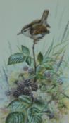 A framed and glazed watercolour depicting a wren on a blackberry plant, by British artist Warwick