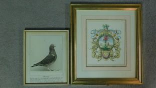 A framed and glazed print of horticultural interest and a portrait of a champion pigeon, signed