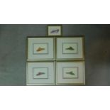 A set of five framed and glazed coloured lithographs of various historical ladies shoe styles.