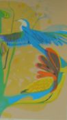 A framed and glazed vintage limited edition coloured lithograph of stylised tropical birds,