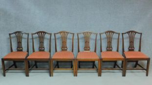 A set of six late 19th century mahogany Chippendale style dining chairs with pierced splat backs and