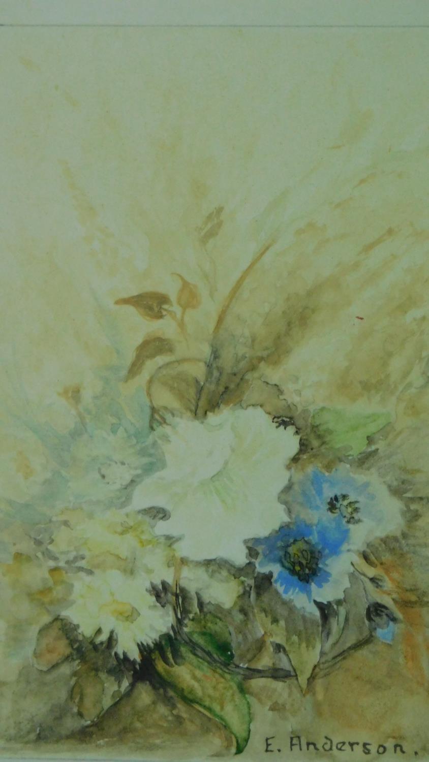 Two framed and glazed watercolours of flowers by E. Anderson. Both signed. 27x32cm - Image 4 of 5