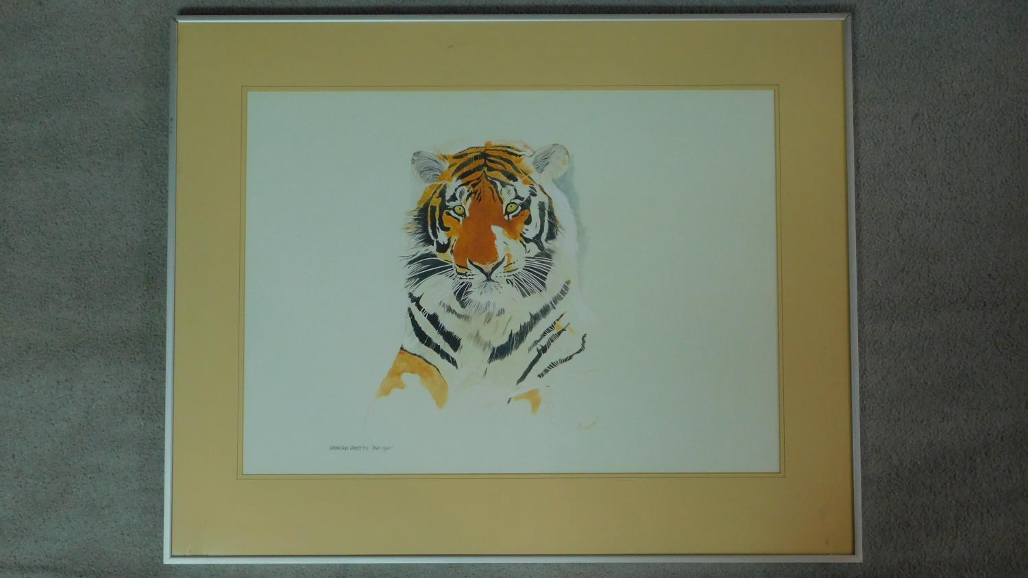 A framed and glazed watercolour by Graeme Sims, titled 'Sun Tiger, signed and dated. 82x66cm - Image 2 of 4