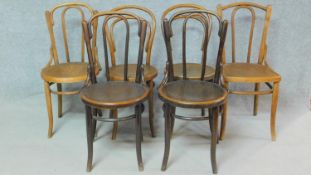 A matched set of six 19th century bentwood dining chairs, stamps and labels to underside. H.92cm