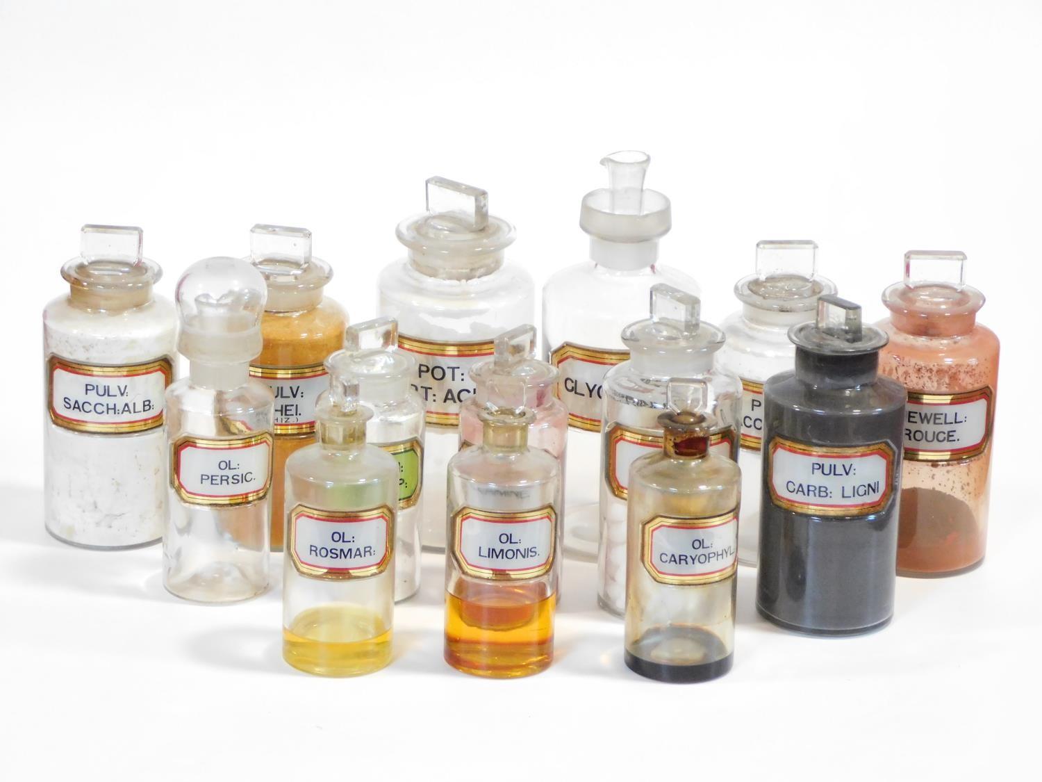 A collection of fourteen 19th century clear pharmacy/chemist jars each with a gilt-bordered red /