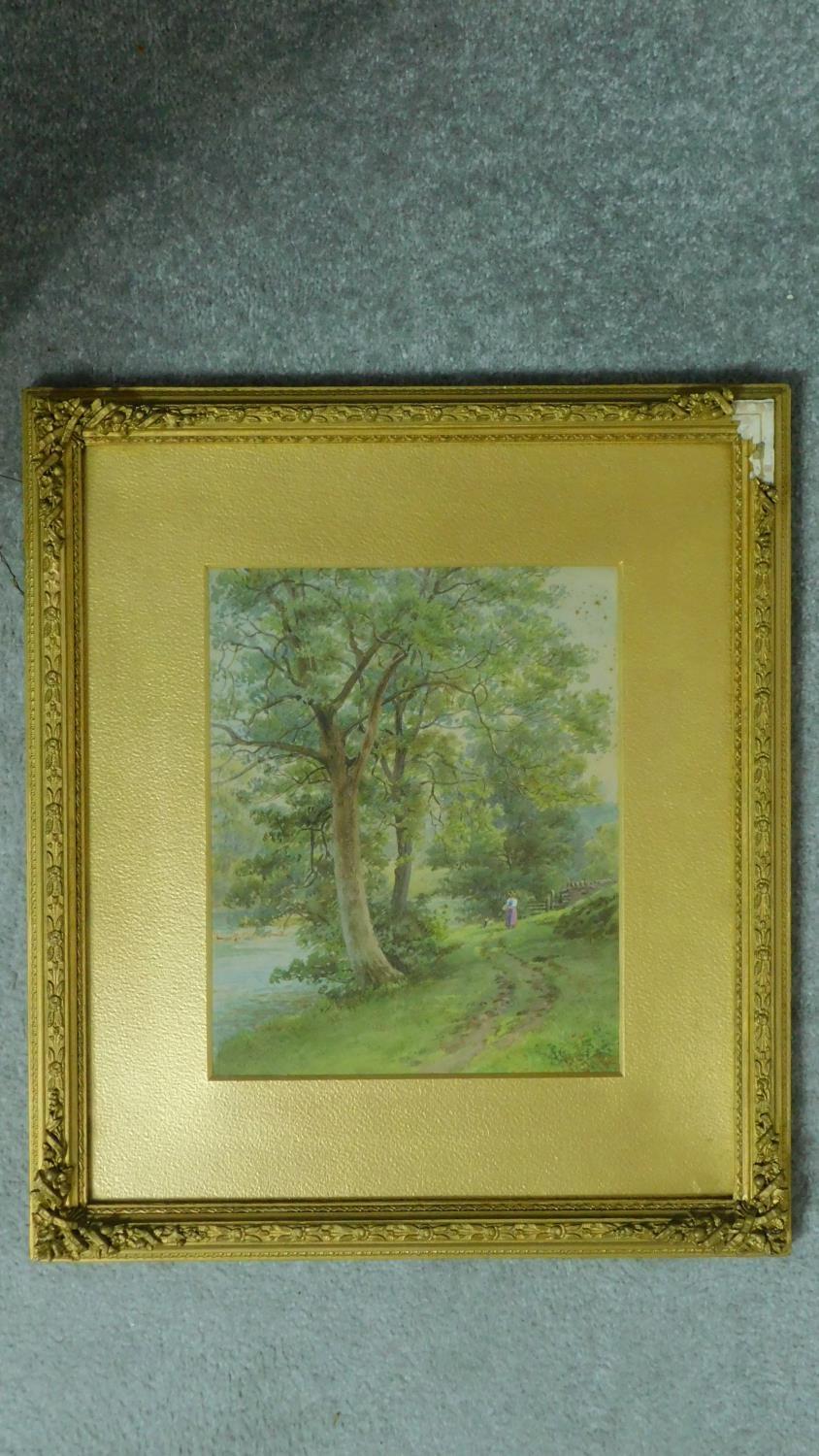 A Victorian carved gilt framed and glazed landscape watercolour of a British forest, indistinctly - Image 2 of 5