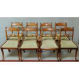 A set of eight mahogany Regency style dining chairs with drop in seats on sabre supports (includes