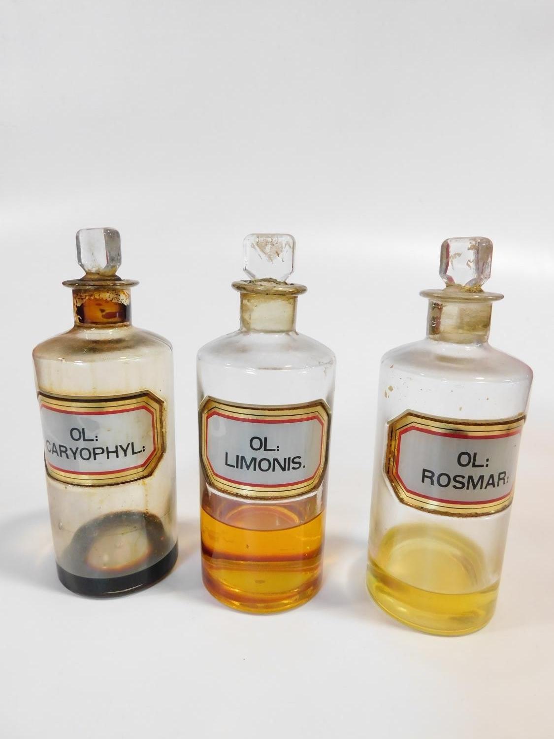 A collection of fourteen 19th century clear pharmacy/chemist jars each with a gilt-bordered red / - Image 10 of 10