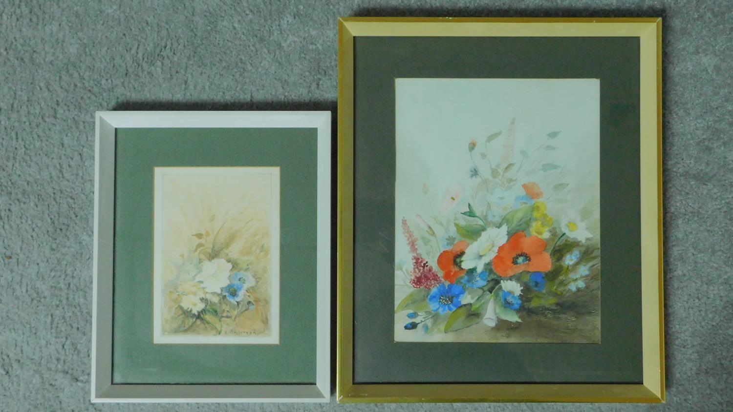 Two framed and glazed watercolours of flowers by E. Anderson. Both signed. 27x32cm