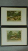 Two framed and glazed antique prints of British freshwater fish catches. One titled 'Pike and