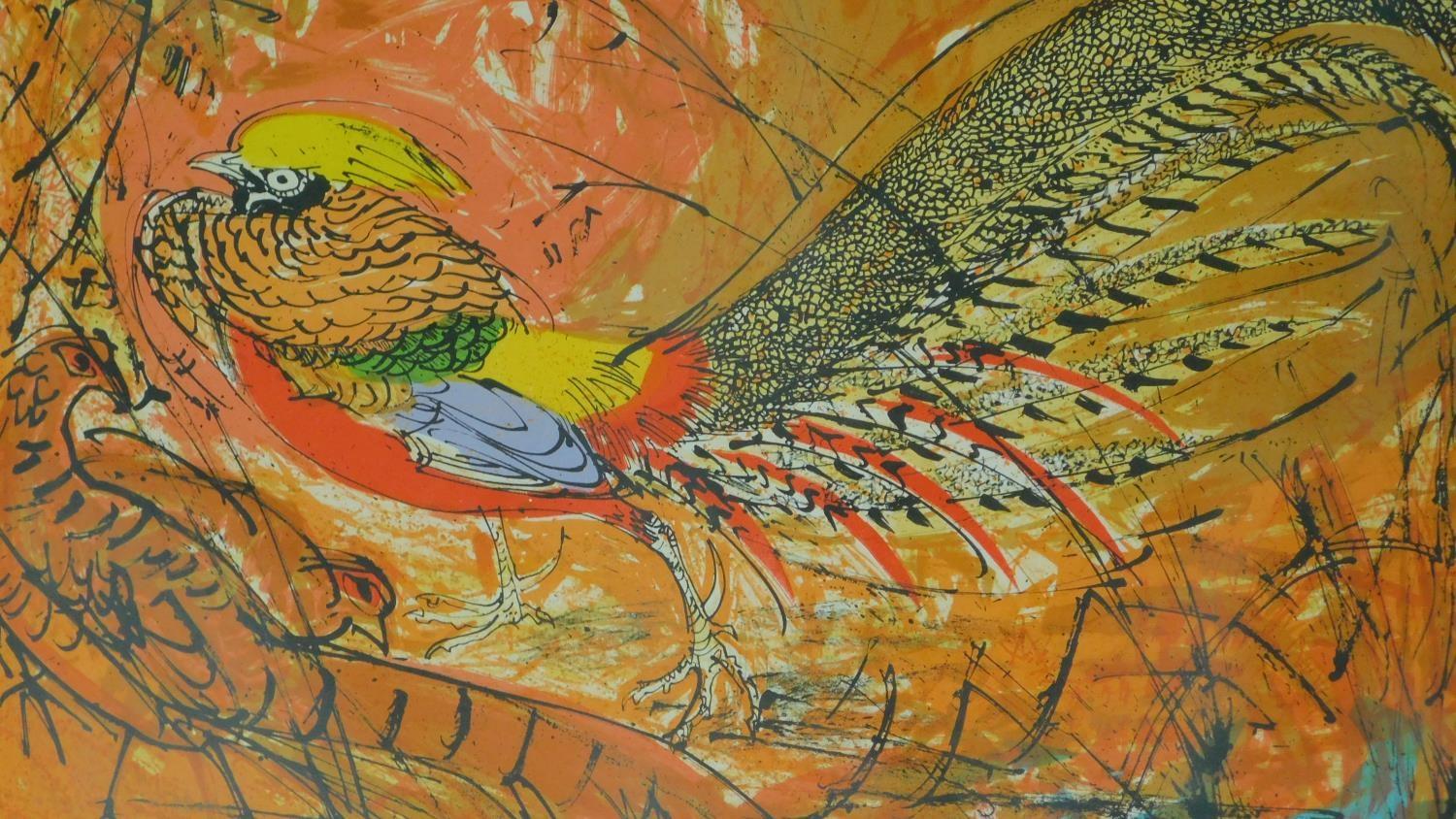 A framed and glazed coloured lithograph of a cock pheasant by David Koster (1926-2014).