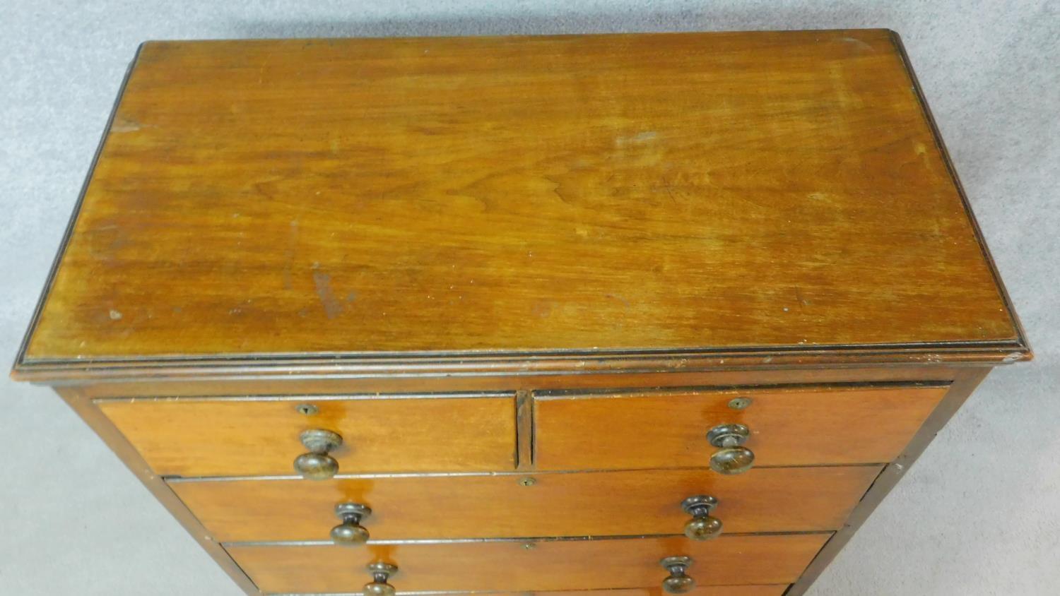 A 19th century mahogany chest of two short over three long drawers on plinth base. H.107 W.96 D.49cm - Image 4 of 5