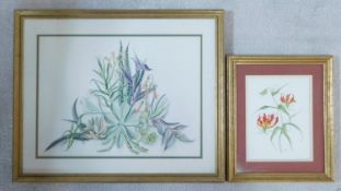 A framed and glazed watercolour, meadow flowers and a similar watercolour of an exotic flowering