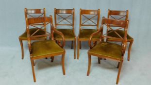 A set of six Regency style yew wood dining chairs with bar backs and drop in seats on sabre