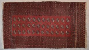 An Afghan Bokhara rug with repeating elephant's pad motifs on crimson ground within stylised multi