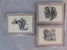 A collection of three framed and glazed prints of animals from the African savanna by Jonathan P.