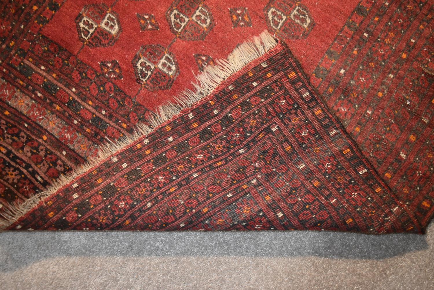 An Afghan Bokhara rug with repeating elephant's pad motifs on crimson ground within stylised multi - Image 4 of 4