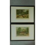 Two framed and glazed antique prints of British freshwater fish catches. One titled 'Pike and